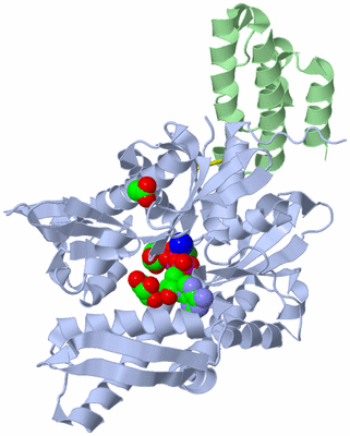 Image Asym./Biol. Unit