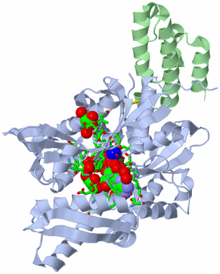 Image Asym./Biol. Unit - sites