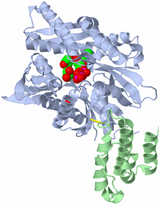 Image Asym./Biol. Unit