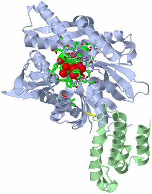 Image Asym./Biol. Unit - sites