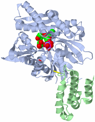 Image Asym./Biol. Unit