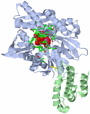 Image Asym./Biol. Unit - sites