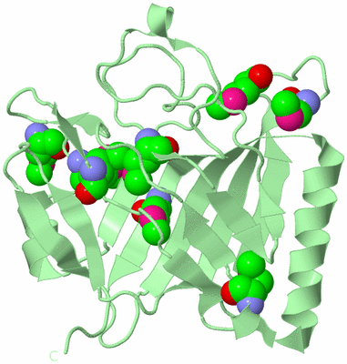 Image Biological Unit 2