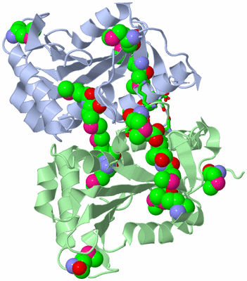 Image Asym./Biol. Unit - sites