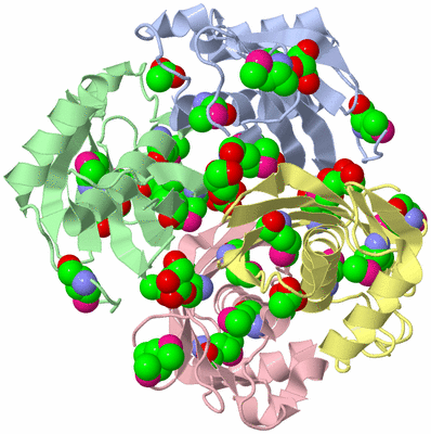 Image Asym./Biol. Unit