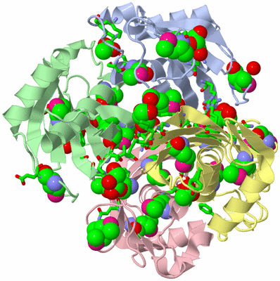 Image Asym./Biol. Unit - sites