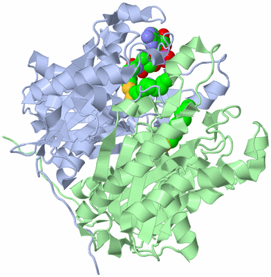 Image Asym./Biol. Unit