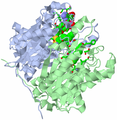 Image Asym./Biol. Unit - sites