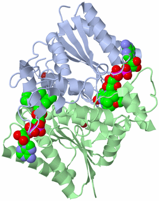 Image Asym./Biol. Unit