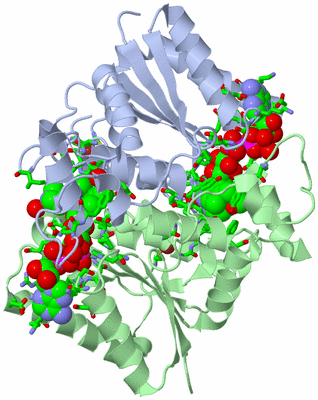 Image Asym./Biol. Unit - sites