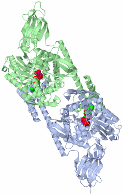 Image Asym./Biol. Unit