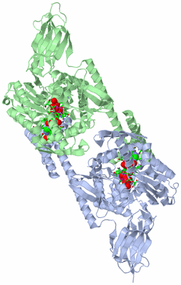 Image Asym./Biol. Unit - sites