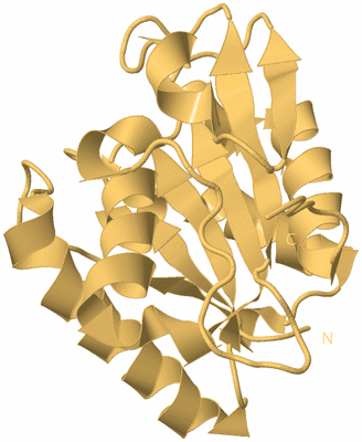 Image Biological Unit 7