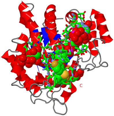 Image Asym./Biol. Unit - sites