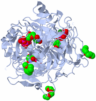 Image Biological Unit 1