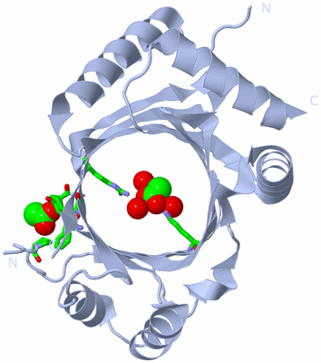 Image Biol. Unit 1 - sites