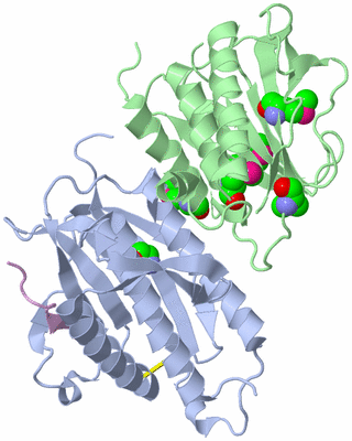 Image Biological Unit 1