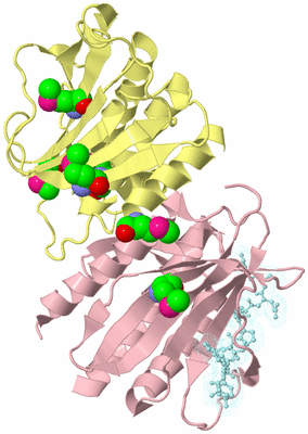 Image Biological Unit 2