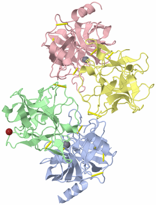 Image Asym./Biol. Unit