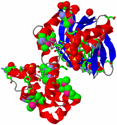 Image Asym./Biol. Unit - sites