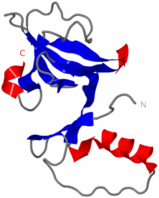 Image Asymmetric Unit