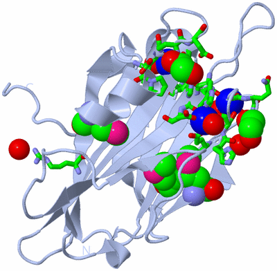 Image Biol. Unit 1 - sites