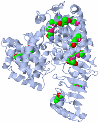 Image Biological Unit 1