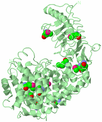 Image Biological Unit 2