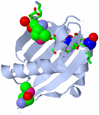 Image Biol. Unit 1 - sites