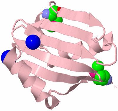 Image Biological Unit 3