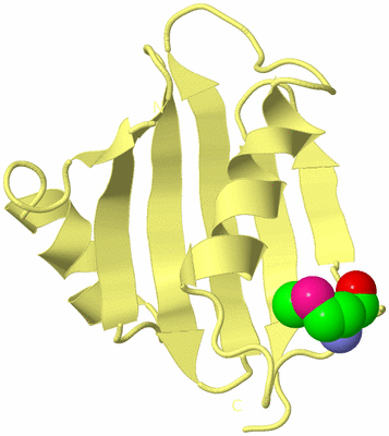 Image Biological Unit 4