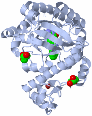 Image Biological Unit 1