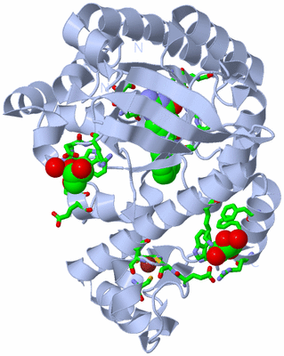 Image Biol. Unit 1 - sites