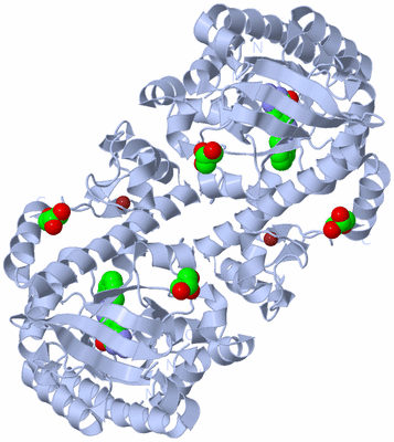 Image Biological Unit 2