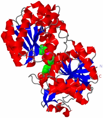 Image Asym./Biol. Unit