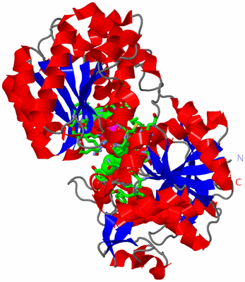 Image Asym./Biol. Unit - sites