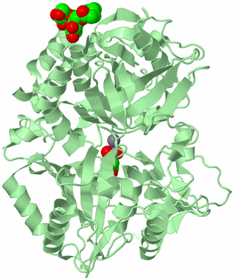 Image Biological Unit 2