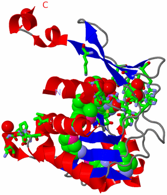 Image Asym. Unit - sites