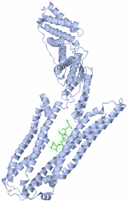 Image Asym./Biol. Unit