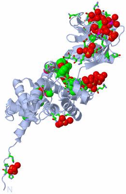 Image Biol. Unit 1 - sites