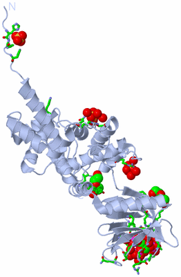 Image Biol. Unit 1 - sites