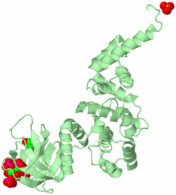 Image Biological Unit 2