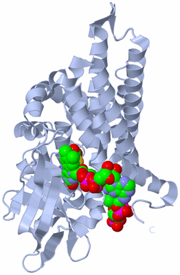 Image Biological Unit 1