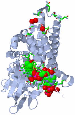 Image Biol. Unit 1 - sites