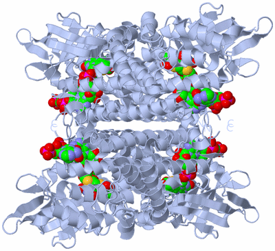 Image Biological Unit 2