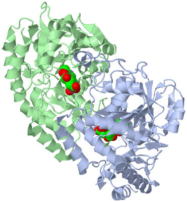 Image Asym./Biol. Unit