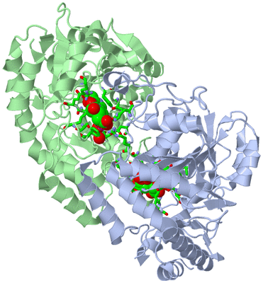 Image Asym./Biol. Unit - sites