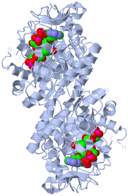 Image Biological Unit 1