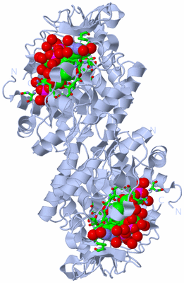 Image Biol. Unit 1 - sites