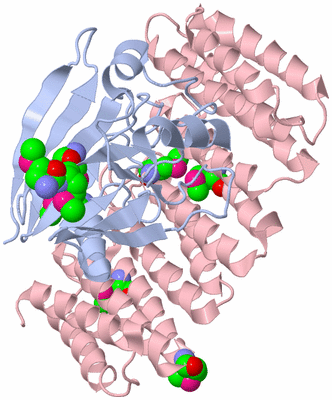 Image Biological Unit 1